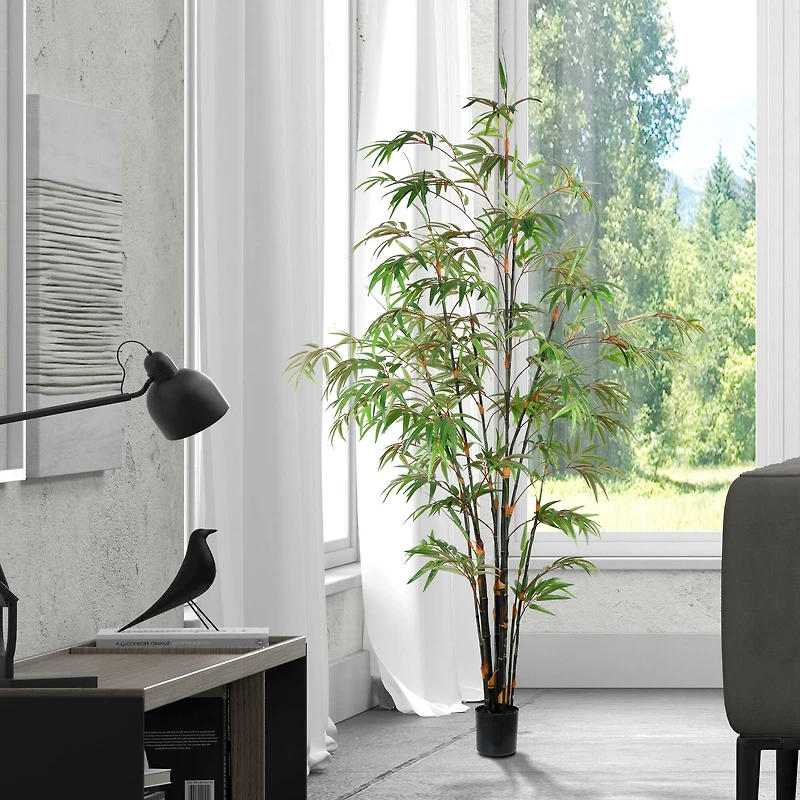 6ft. Potted Black Japanese Bamboo Tree