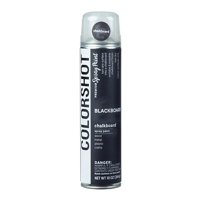 COLORSHOT® 10oz. Black Chalkboard Spray Paint