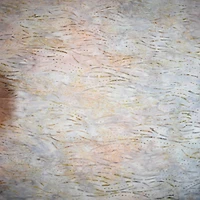 10 yd. Full Bolt: Feldman Premium Indonesian Batik Tan Dot Wave Cotton Fabric