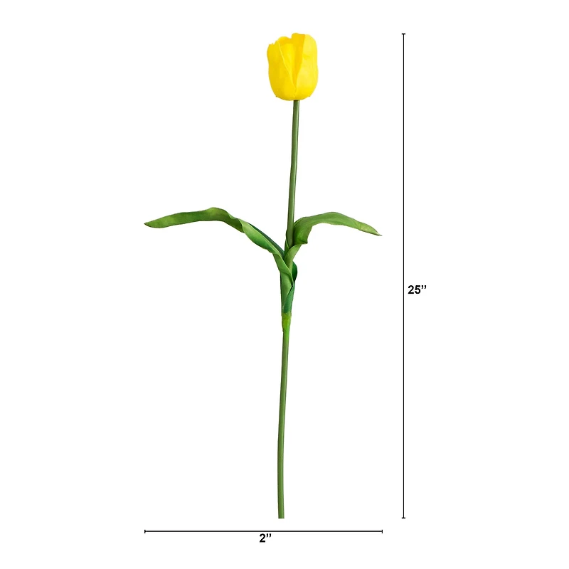 25" Tulip Flower Stems