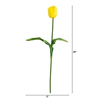 25" Tulip Flower Stems
