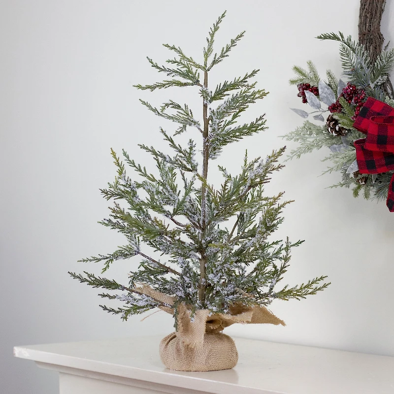 24" Unlit Real Touch™️ Iced Cedar Artificial Christmas Tree