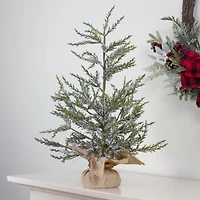 24" Unlit Real Touch™️ Iced Cedar Artificial Christmas Tree