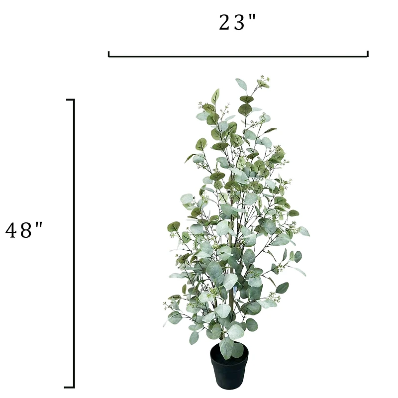 4ft. Potted Seeded Eucalyptus Tree by Ashland®