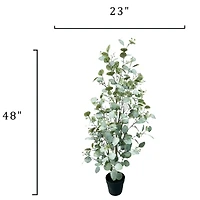 4ft. Potted Seeded Eucalyptus Tree by Ashland®
