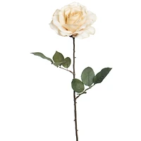 26" Rose Stem by Ashland