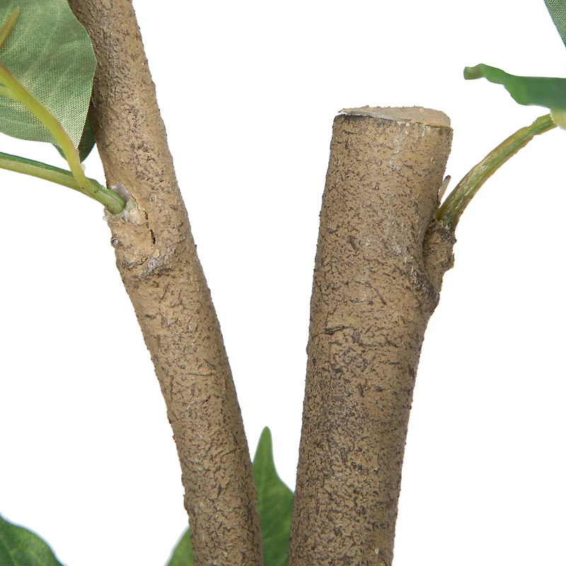 6ft. Potted Green Nandina Tree