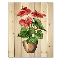 Designart - Anthurium Tailflower Or Flamingo Flower In The Pot