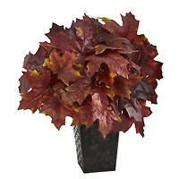 18" Burgundy Autumn Maple Leaf Plant in Embossed Black Planter