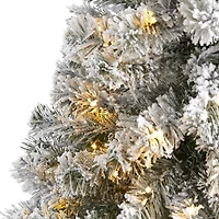 4ft. Pre-Lit Flocked West Virginia Fir Artificial Christmas Tree, Clear LED Lights