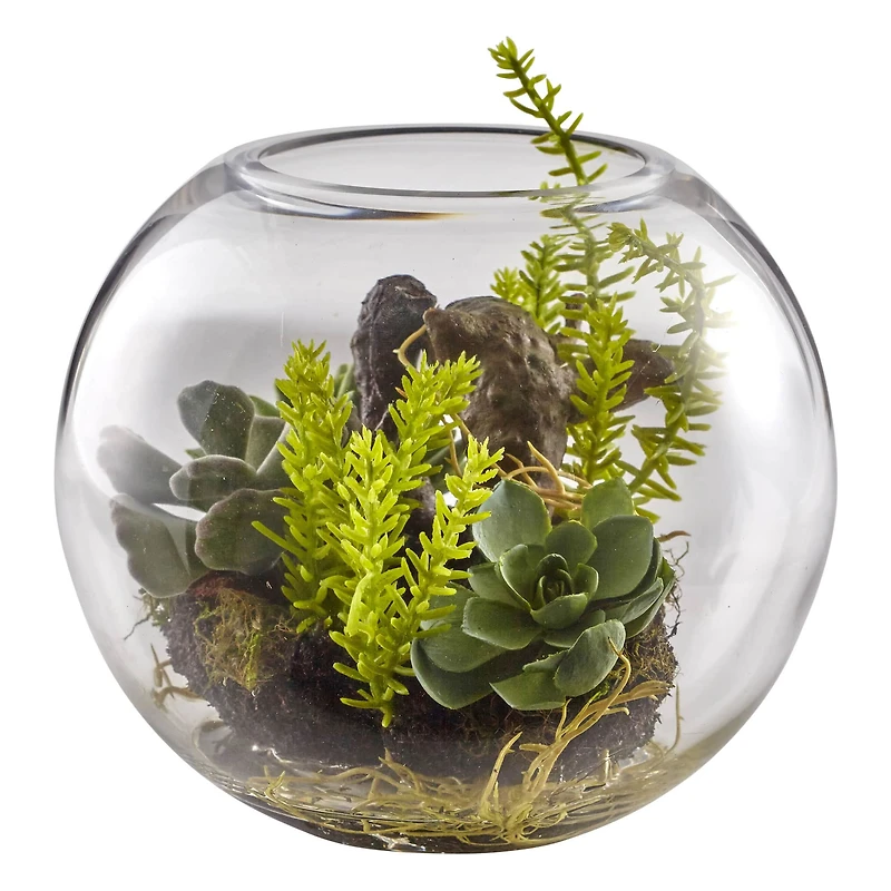 8" Mix Succulent Garden in Glass Vase