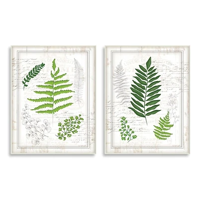 Stupell Industries Antique Fern Study with Script Forest Greenery Wall Plaque Set