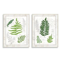 Stupell Industries Antique Fern Study with Script Forest Greenery Wall Plaque Set