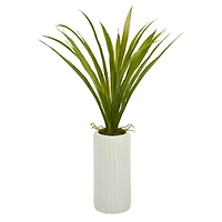 19'' Grass Plant in Tall White Planter