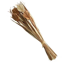 Beige & Tan Dried Grass & Fan Palm Bundle