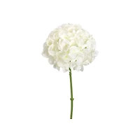 White Hydrangea Spray
