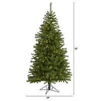 6ft. Pre-Lit Springfield Artificial Christmas Tree, Clear LED Lights