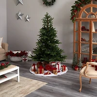 6ft. Pre-Lit North Carolina Spruce Artificial Christmas Tree, Clear Lights