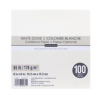 12 Packs: 100 ct. (1,200 total) White Dove 6" x 6" Cardstock Paper by Recollections™