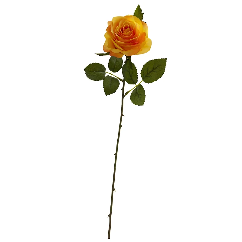 Orange Rose Stems, 24ct.