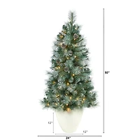 4ft. Pre-Lit Frosted Tip British Columbia Mountain Pine Artificial Christmas Tree with Pinecones, Clear Lights