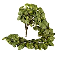 8 Pack: Fittonia Hanging Bush by Ashland®