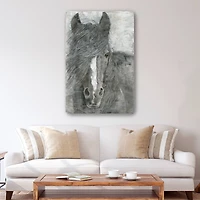 Horse In The Wind Canvas Giclee