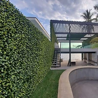 4ft. Expandable Lemon Leaf Lattice Screen