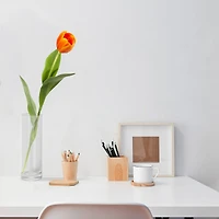 Orange Tulip Stem, 8ct.