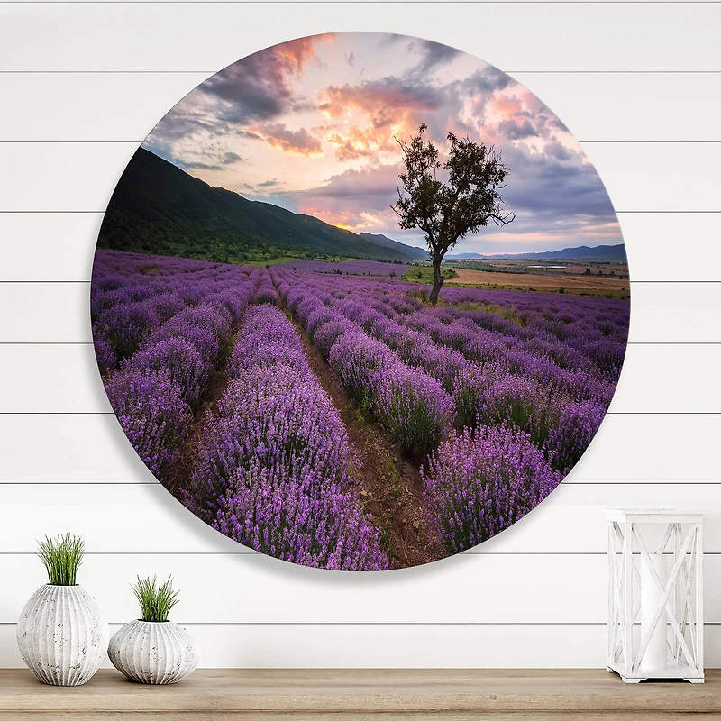 Designart - Lavender Field At Dawn III