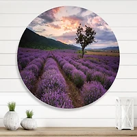 Designart - Lavender Field At Dawn III