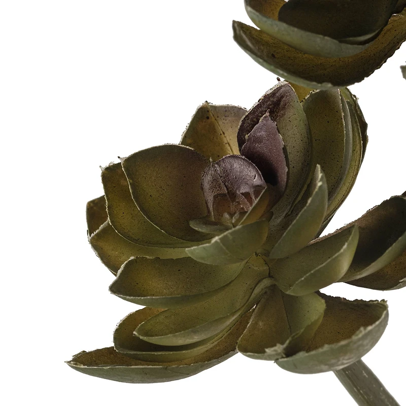 Ashland® Succulent Pick