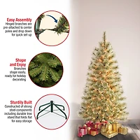 4.5ft. Pre-Lit Arcadia Cashmere Pine Artificial Christmas Tree, Clear Lights
