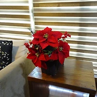 17" Red Poinsettia, Berry & Pinecone Deluxe Bush by Ashland®