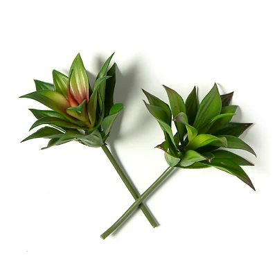 Assorted 6.5" Agave Pick by Ashland®, 1pc.