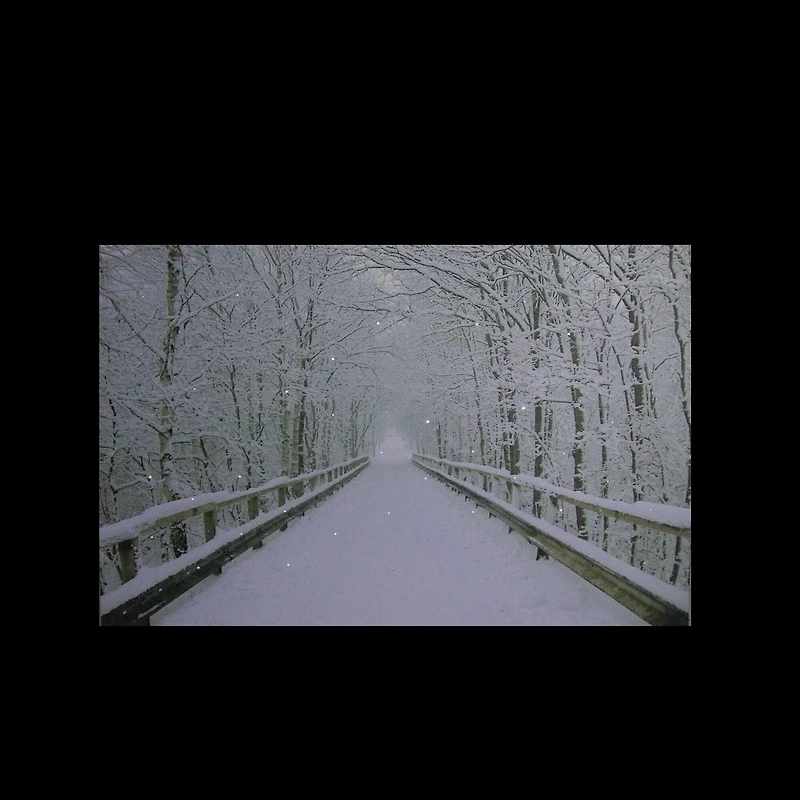 Winter Wooden Bridge Fiber Optic Lighted Canvas Wall Art