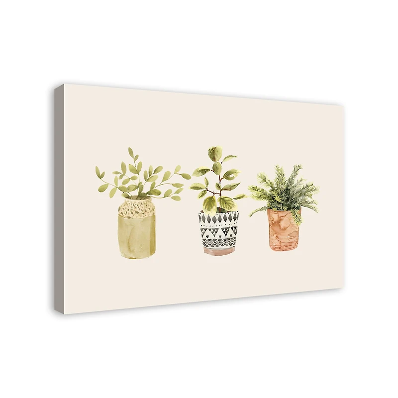 Designs Direct Potted Plants Canvas Wall Art