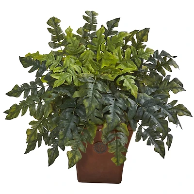 2ft. Holly Fern in Brown Planter