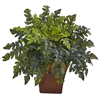 2ft. Holly Fern in Brown Planter