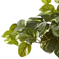 16" Pothos In Rectangle Decorative Planter