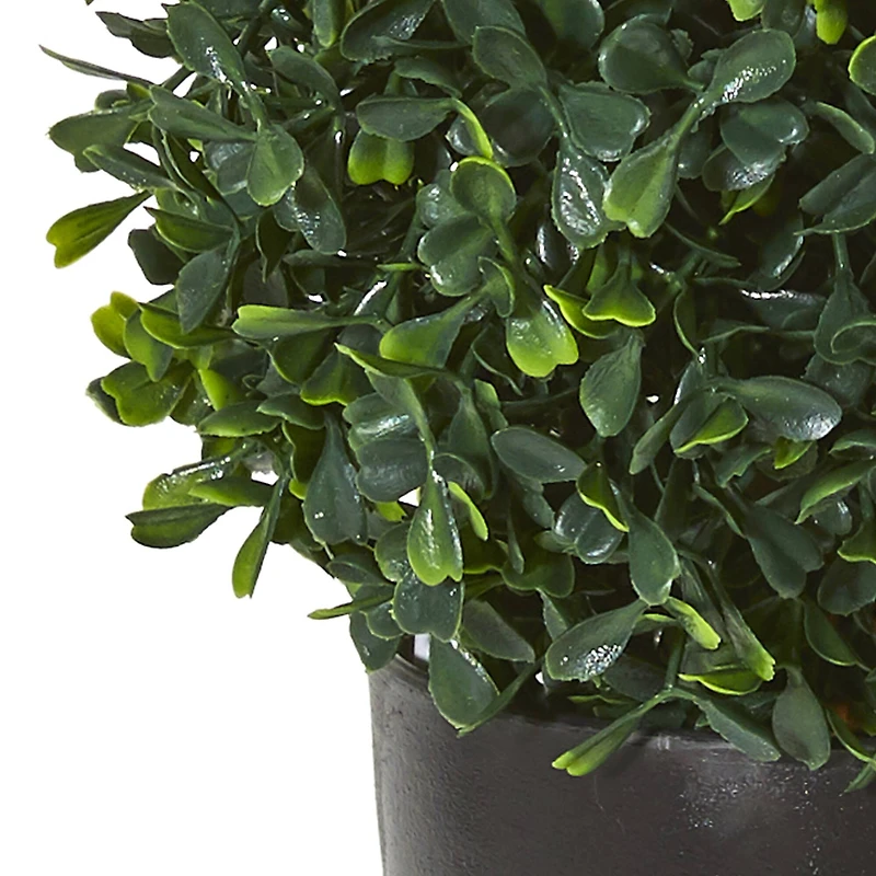 13” Boxwood Topiary Tree in Black Planter