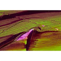 Liquitex® Glazing Medium