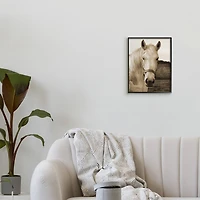 Stupell Industries Rustic Sepia tone Portrait of White Horse in Frame Wall Art