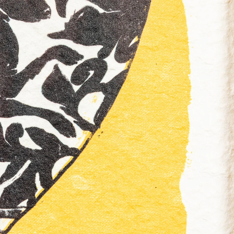 Hello Honey® Framed Painted Bowl Wall Art