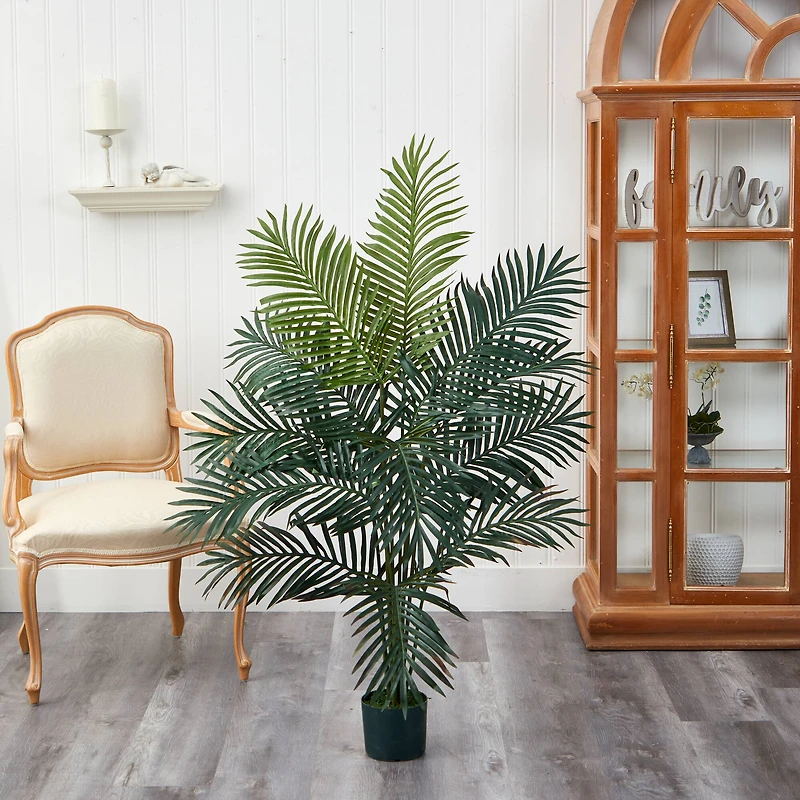 5ft. Potted Paradise Palm