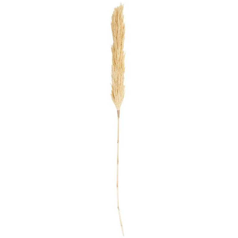 Cream Dried Pampas Grass Stem