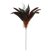 Chocolate Peacock Feather Pick by Ashland®