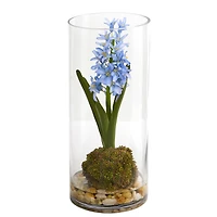 14" Blue Hyacinth & Sedum Arrangement in Cylinder Vase