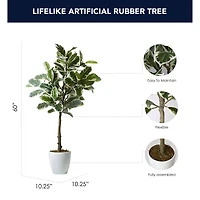 American Art Decor 5ft. Variegated Rubber Tree in White Ceramic Pot