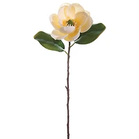 Vanilla Magnolia Spray 